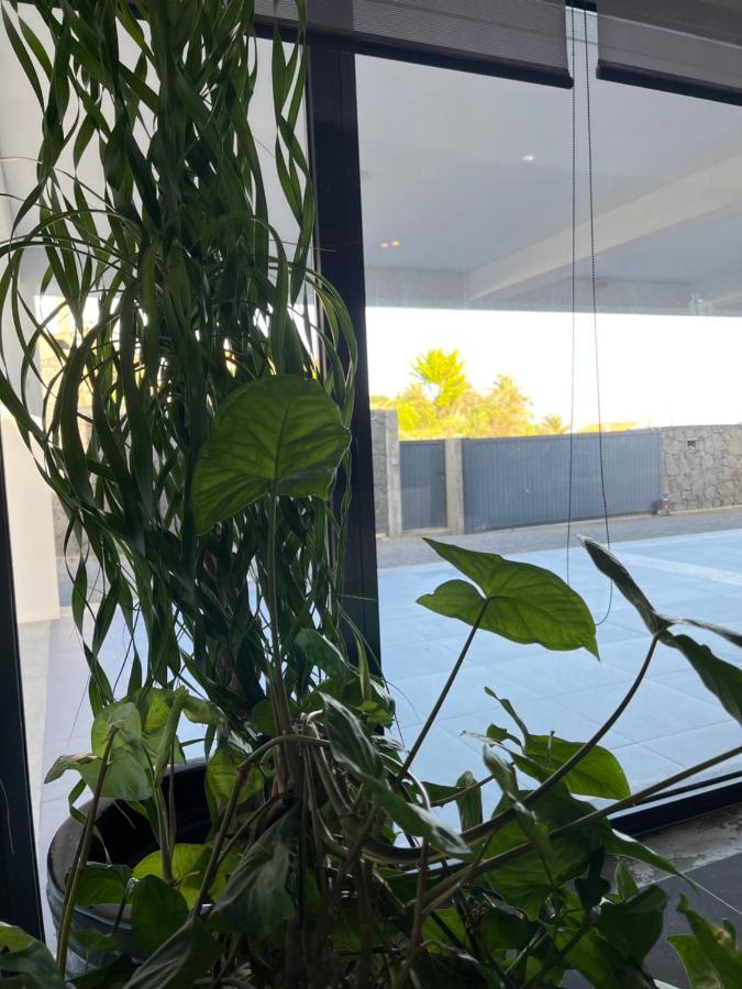 Crystal House Apartment Angra do Heroismo Ngoại thất bức ảnh